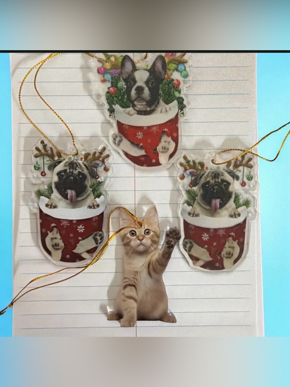 4 Pieces - Cute Cat, Pug and Boston Terrier Holiday Ornaments